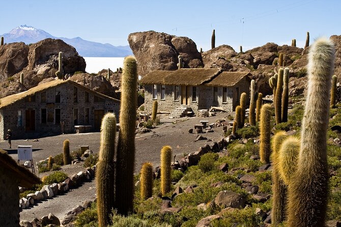 3-Day Uyuni Salt Flat Tour with Sunset and Red Lagoons - Who will enjoy this tour most