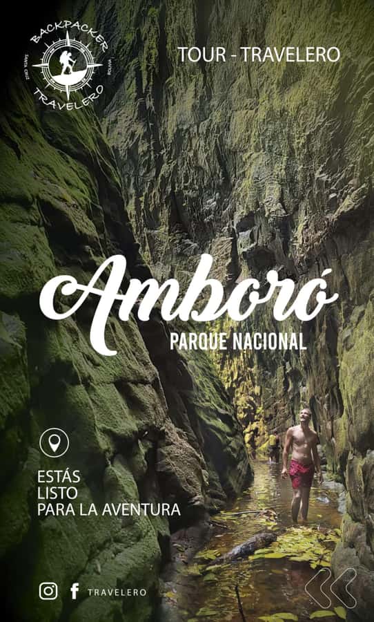 Day Tour / Amboro National Park (north side) - Why Amboró’s north side makes a strong day trip