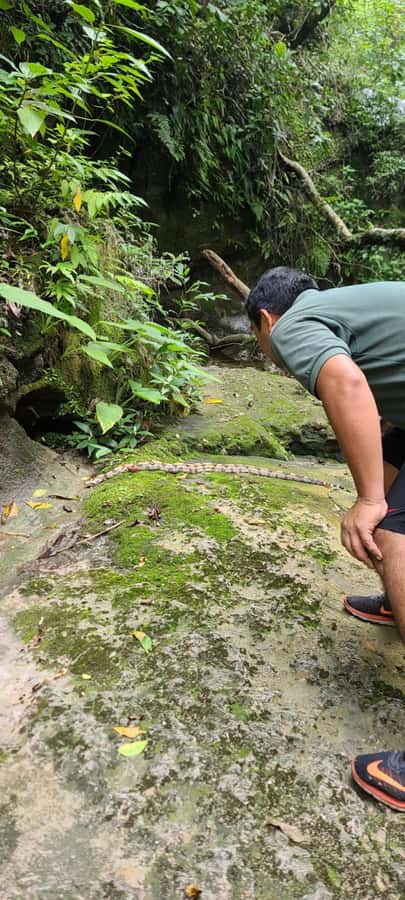 Day Tour / Amboro National Park (north side) - The first hour of the forest walk