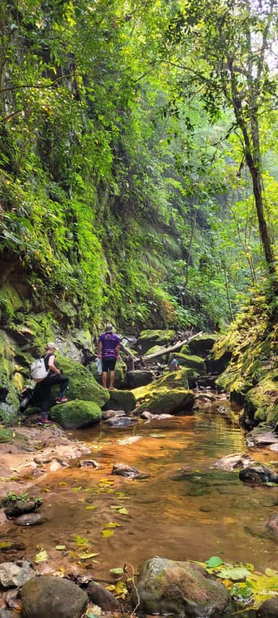 Day Tour / Amboro National Park (north side) - What to pack for the north-side route