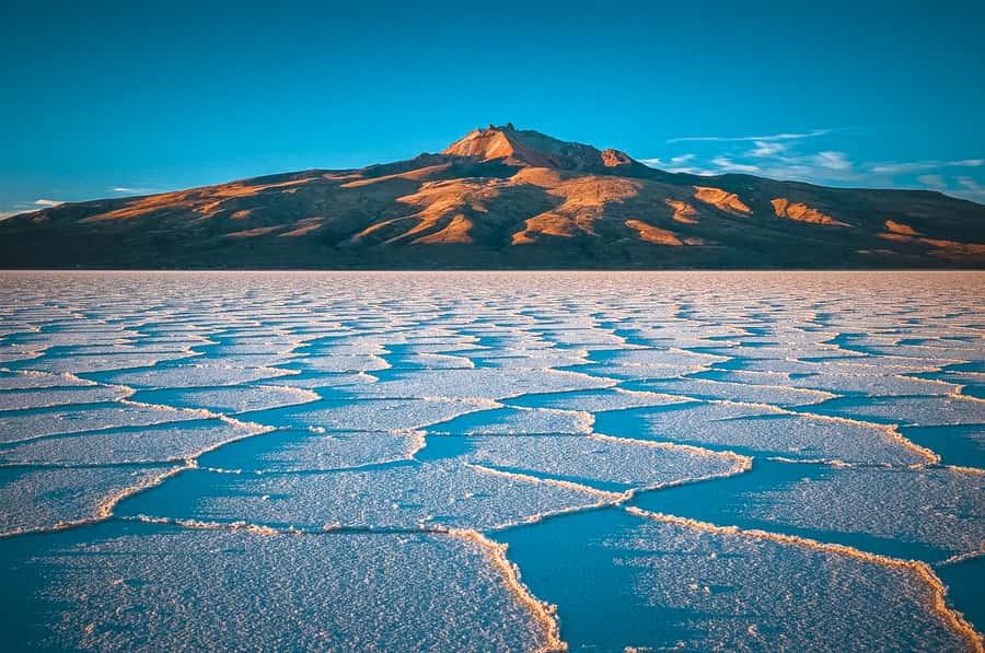From La Paz: 3-Day Uyuni Salt Flat and Incahuasi Island Tour - The overnight bus from La Paz