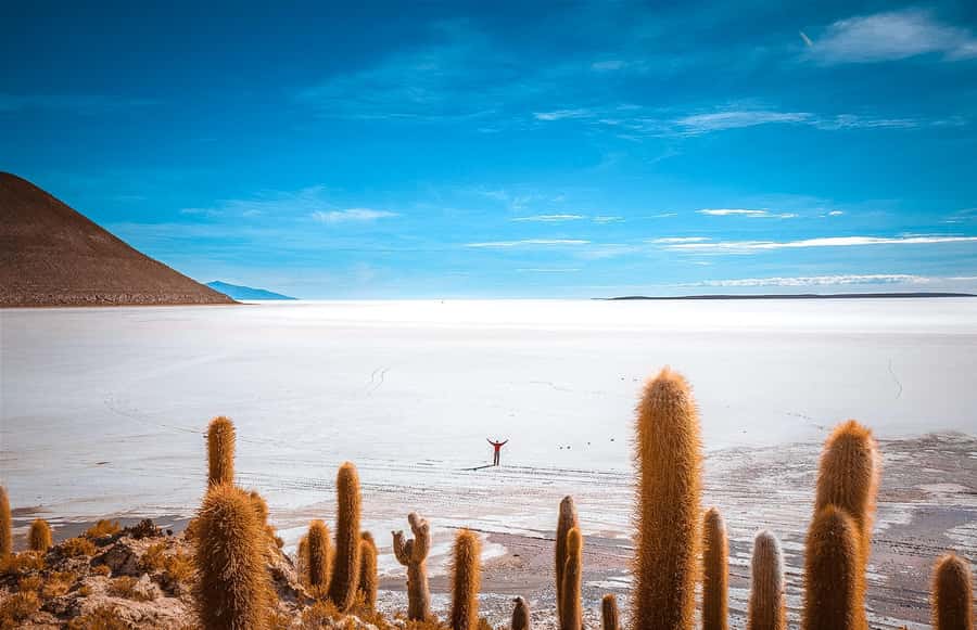 From La Paz: 4-Day Trip to San Pedro de Atacama w/Salt Flats - Incahuasi Island and sunset on the Salar