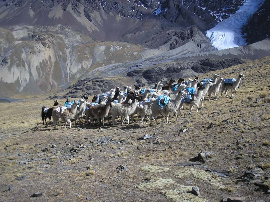From La Paz: Condoriri Andes, Pico Austria Full Day Hiking - The return to La Paz and a timing point