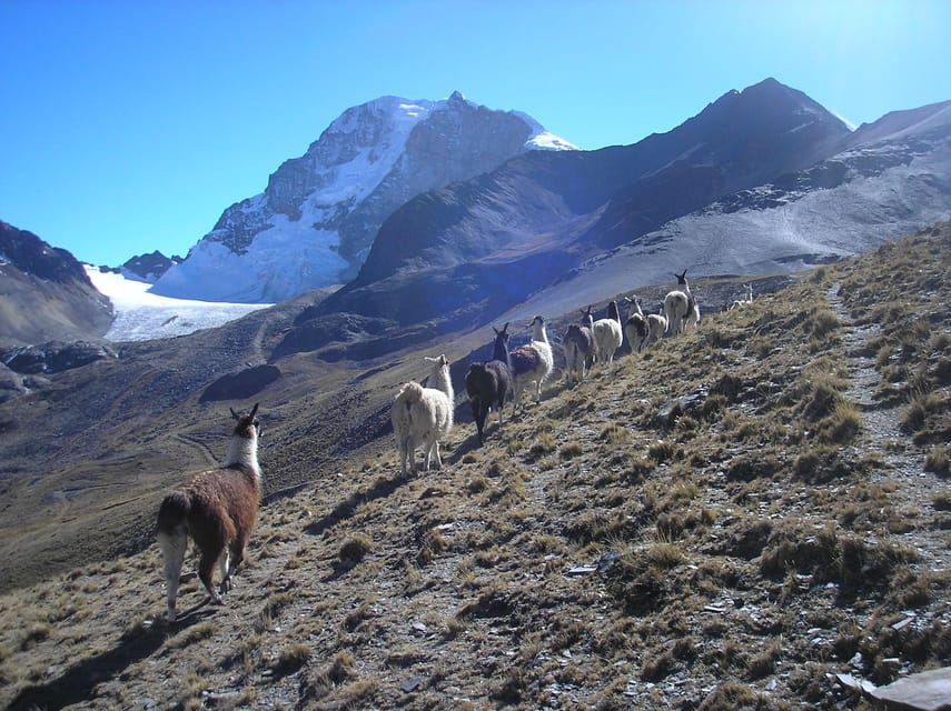 From La Paz: Condoriri Andes, Pico Austria Full Day Hiking - Crossing Condoriri Lake and entering the range