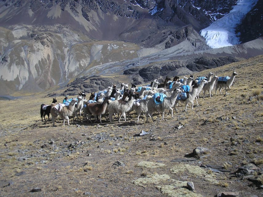 From La Paz: Condoriri Andes, Pico Austria Full Day Hiking - What the guide adds to the day