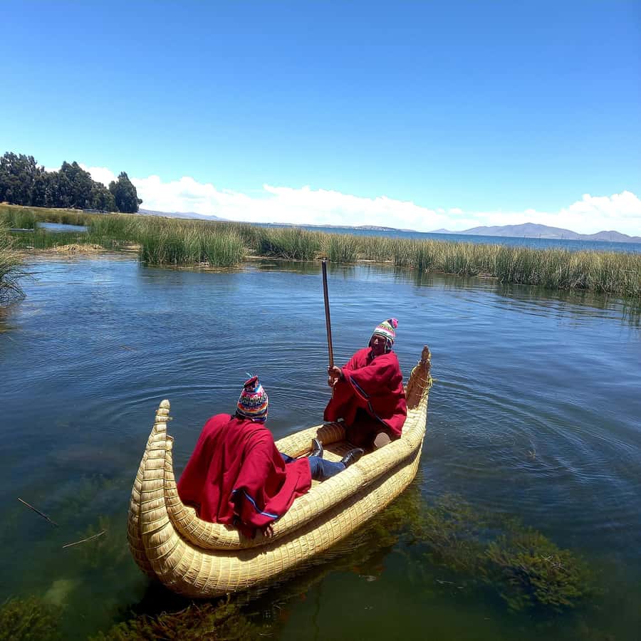 From La Paz: Tihuanacu & Titicaca Lake in one day with lunch - Who should book this experience?