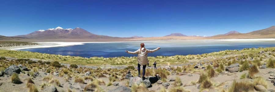 From La Paz: Tiwanaku and Lake Titicaca One-Day Tour - Private transport, guide style, and flexibility