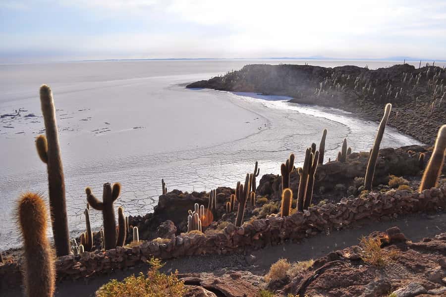 From La Paz to Atacama: Uyuni Salt Flats 4-Day Tour - Who should book this route?