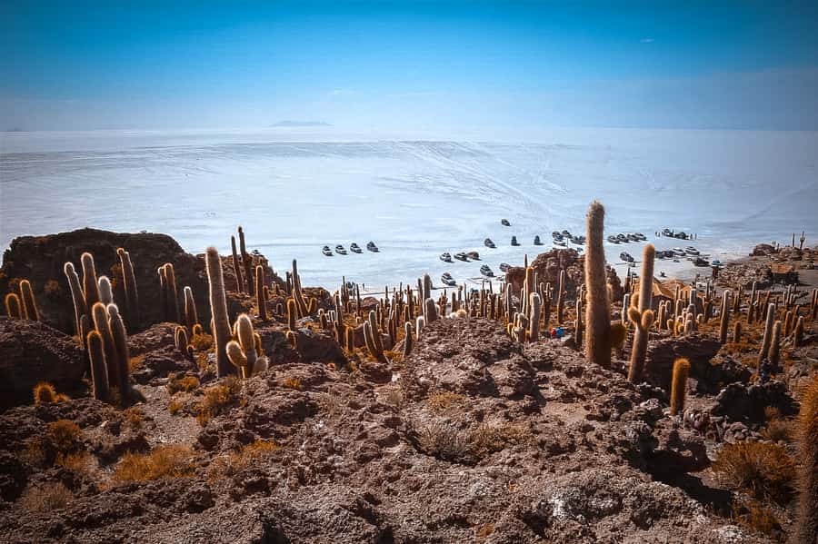 From La Paz: Uyuni and Andean Lagoons 5-Day Guided Trip - Key points to know before booking