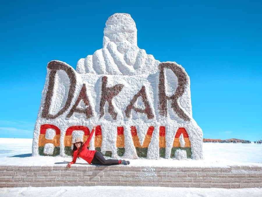 From La Paz: Uyuni Salt Flat Tour & Overnight Roundtrip Bus - The overnight Todo Turismo ride from La Paz