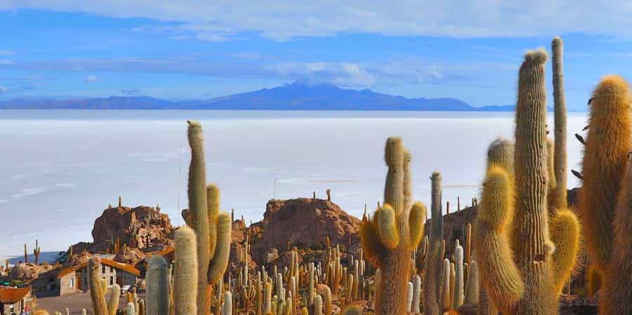 From San Pedro de Atacama: 3 days to Uyuni Salt Flat - From San Pedro to the Bolivian border