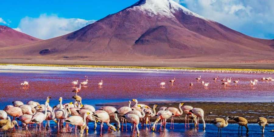 From San Pedro de Atacama: 3 days to Uyuni Salt Flat - Rock cities, wildlife, and the second night