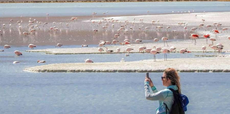 From San Pedro de Atacama: 3 days to Uyuni Salt Flat - Who should book this three-day crossing?