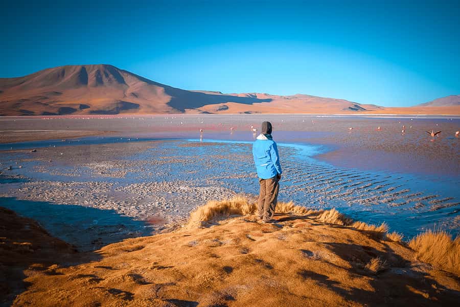 From Uyuni: 3-Day Tour to San Pedro with Salt Flats Visit - Day two: flamingos, desert rock, and the Red Lagoon