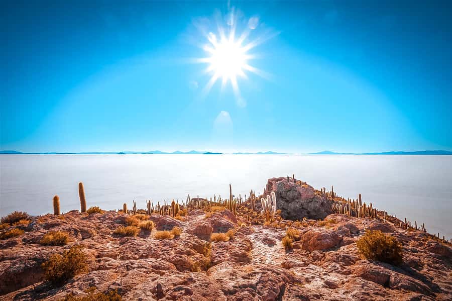 From Uyuni: Full-Day Guided Trip to Salar de Uyuni - Dakar Monument and flags from around the world