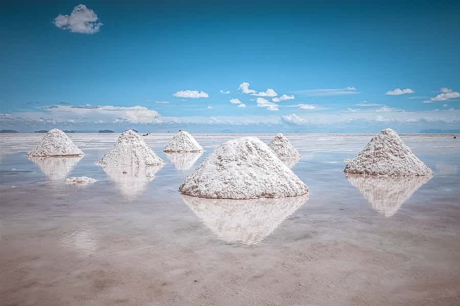 From Uyuni: Full-Day Guided Trip to Salar de Uyuni - Incahuasi Island and its tall cacti