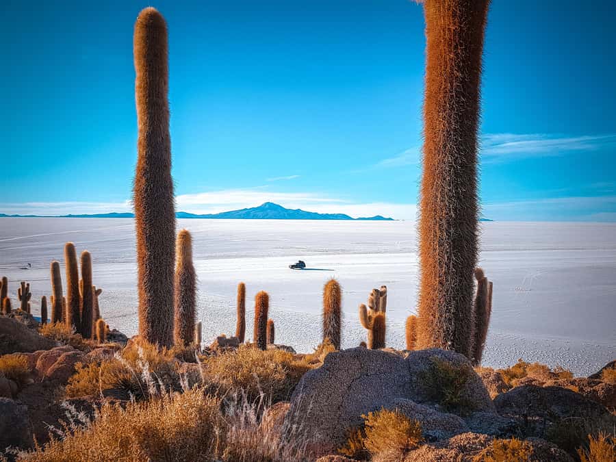 From Uyuni: Full-Day Guided Trip to Salar de Uyuni - Starting from Uyuni at 10:30 a.m.
