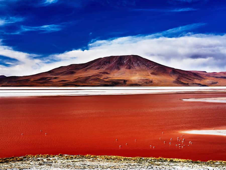 From Uyuni: Salt Flats Highlights Jeep Tour with Lunch - The salt plain is the real star