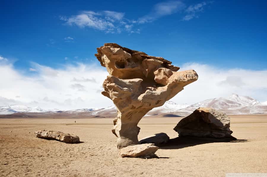 From Uyuni: Salt Flats Highlights Jeep Tour with Lunch - What $80 buys you