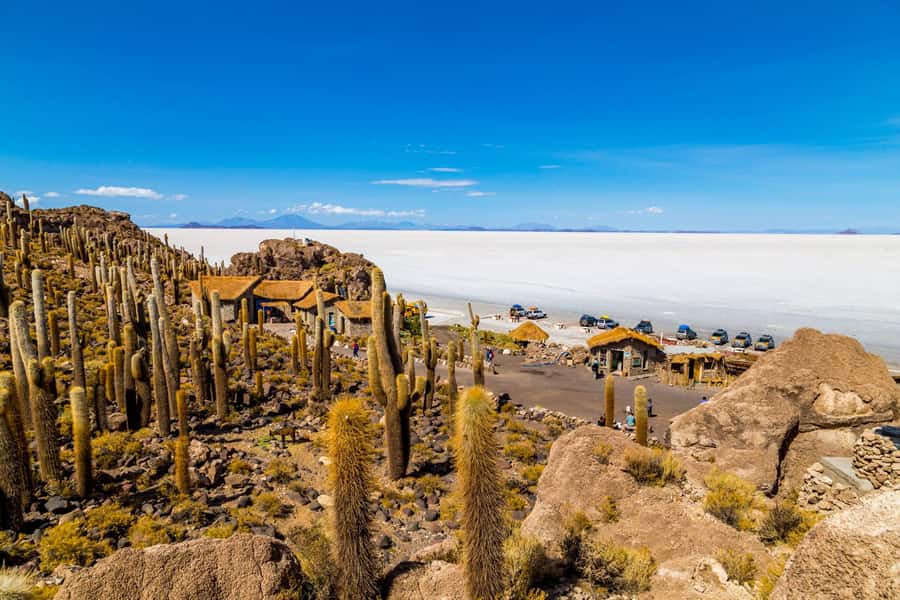 From Uyuni:Uyuni Salt Flats with Incahuasi Island |Full day| - Salt Hotel, Dakar Monument, and Flag Square