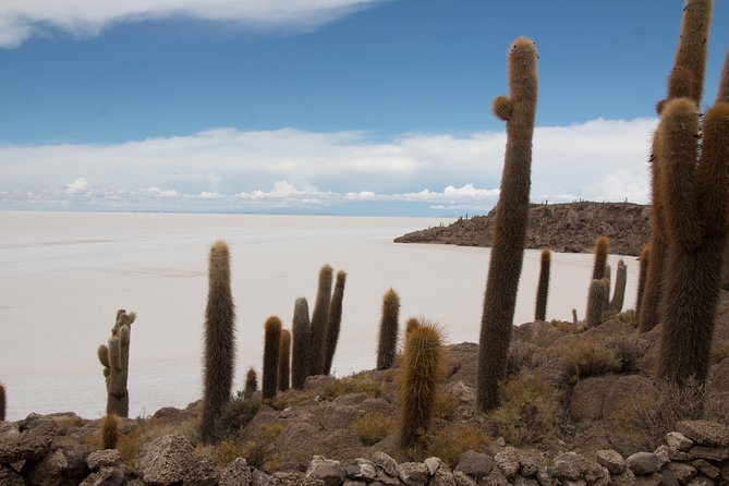 Full day Salar- Sunset and Stars; Magic Salar - Old trains and the story of Uyuni