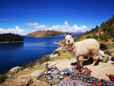 2-day Excursion to Lake Titicaca and Sun Island