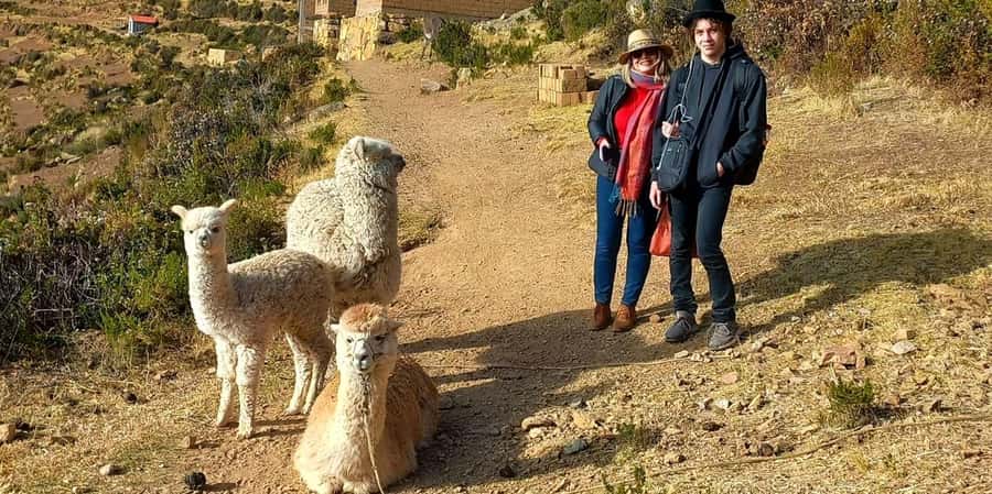 La Paz: 2-day Excursion to Lake Titicaca and Sun Island - Guide quality and service reliability