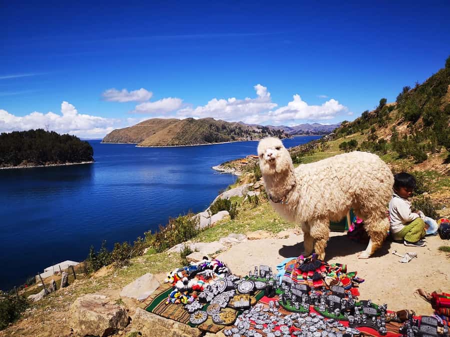 La Paz: 2-day Excursion to Lake Titicaca and Sun Island - Day one: La Paz to Copacabana