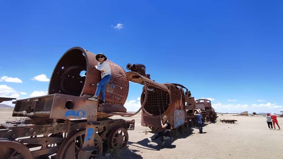 La Paz: 5-Day Uyuni Salt Flats by Bus - Day three: flamingos beneath snowy volcanoes