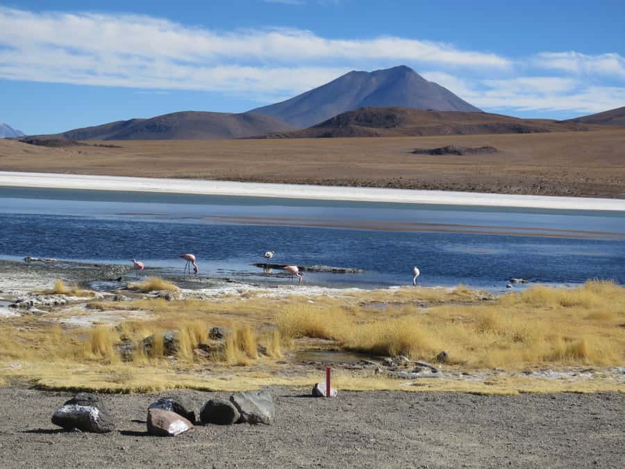 La Paz: 5-Day Uyuni Salt Flats by Bus - Who should book this Uyuni tour?