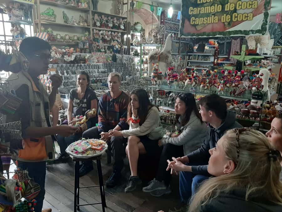 La Paz and El Alto: Cable Car Rides and Walking Tour - Who should book this experience?