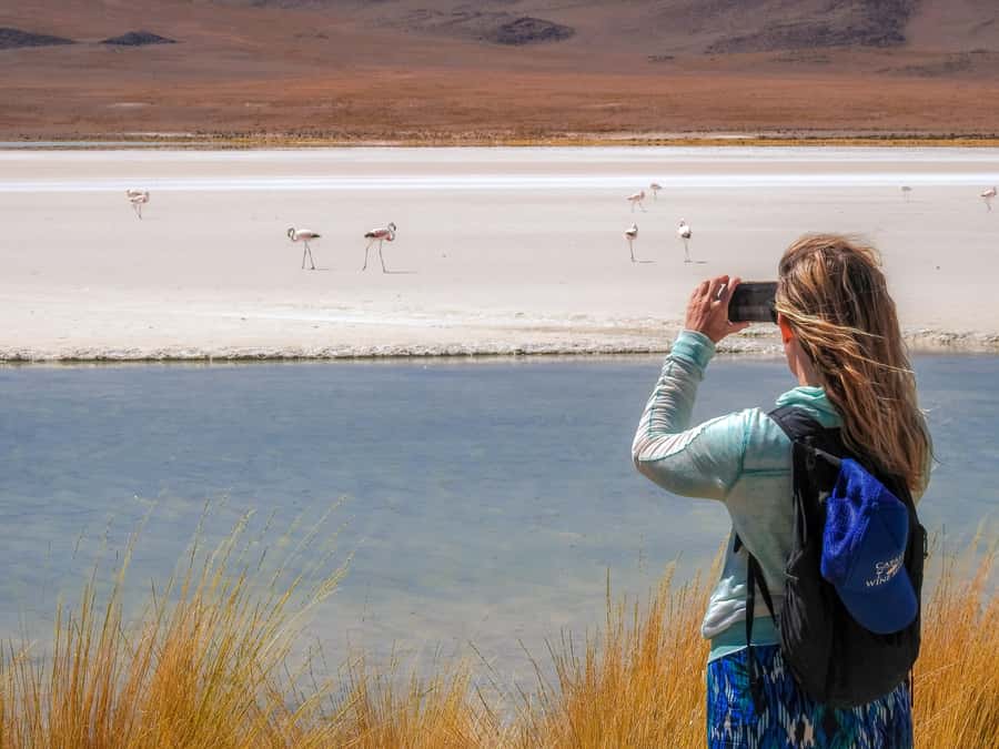 La Paz: Uyuni Salt Flats & Isla Incahuasi 5-Day Bus Tour - Should you book this Uyuni circuit?