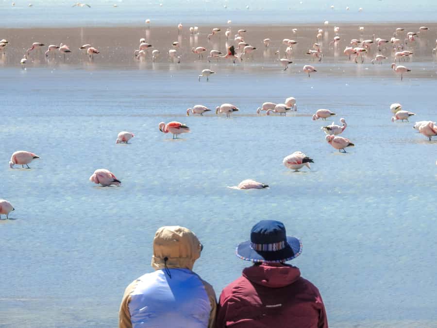 La Paz: Uyuni Salt Flats & Isla Incahuasi 5-Day Bus Tour - What the $499 price really covers