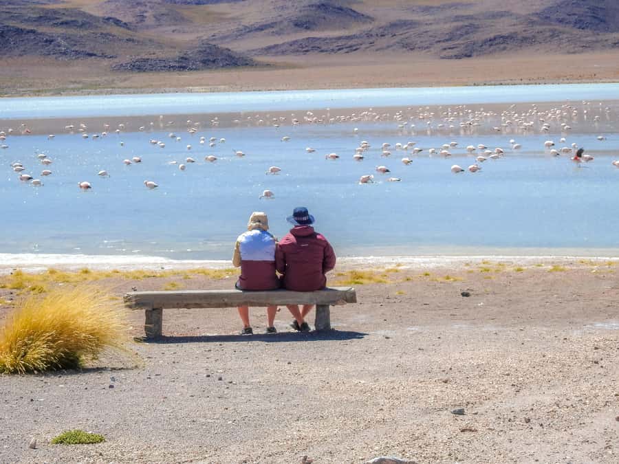 La Paz: Uyuni Salt Flats & Isla Incahuasi 5-Day Bus Tour - Guide quality and the small-group advantage