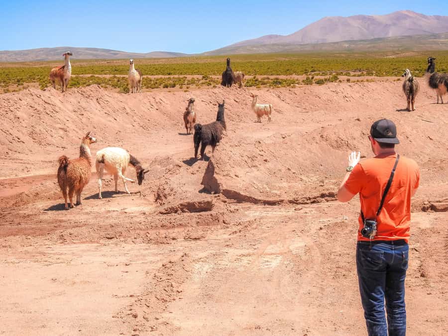 La Paz: Uyuni Salt Flats & Isla Incahuasi 5-Day Bus Tour - Packing for cold, glare, and long road days