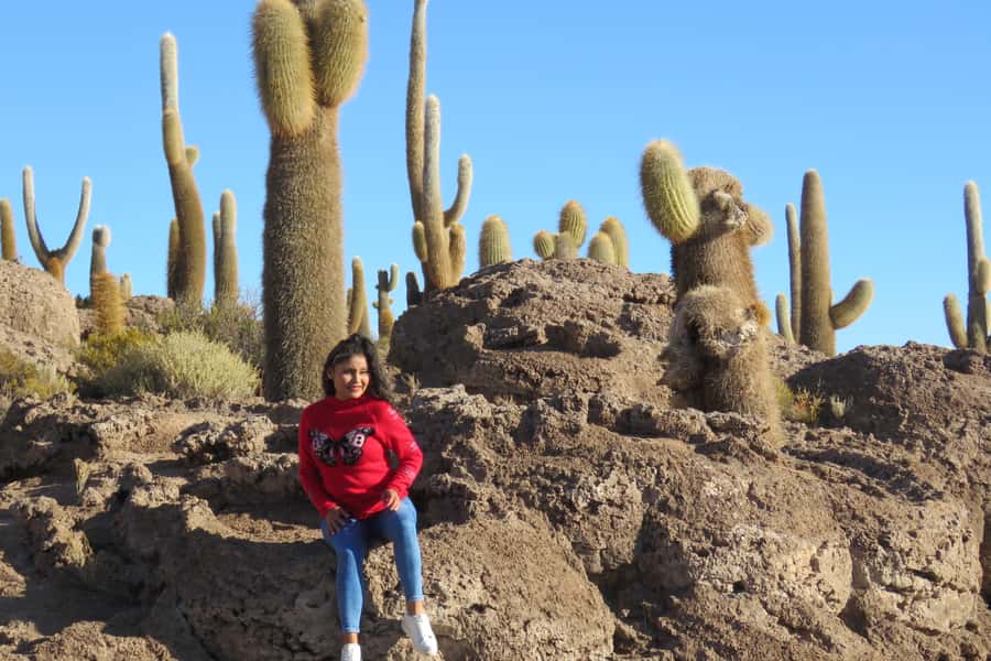 La Paz: Uyuni Salt Flats & Lagoon Share Trip (private room) - Day 3: Lagoons, flamingos, and the Red Lagoon