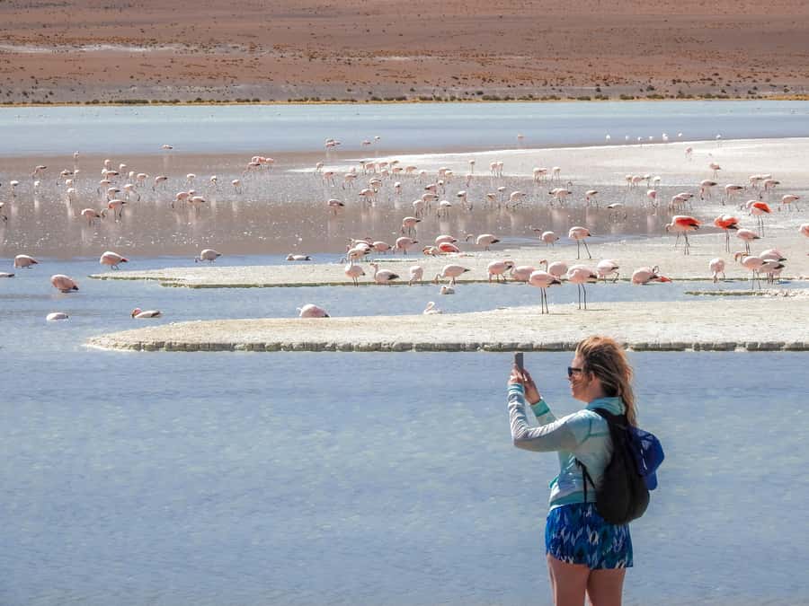 La Paz: Uyuni Salt Flats & San Pedro de Atacama 3-Day Tour - Key points to know before booking