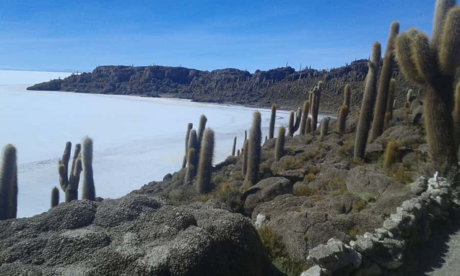 La Paz: Uyuni tour ending in Atacama Chile by bus. - Day four: hot springs, colored deserts, and the Chile border