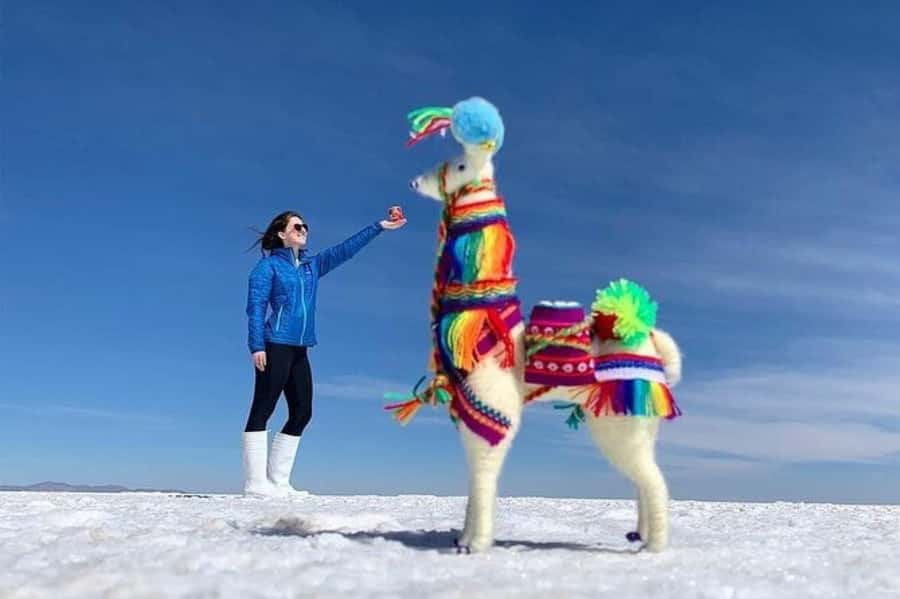 Salar de Uyuni 1 day + photo session + Sunset (English) - Key points at a glance