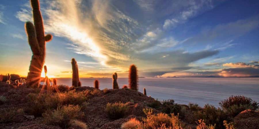 Salar de Uyuni 1 day + photo session + Sunset (English) - Entering the largest salt flat in the world