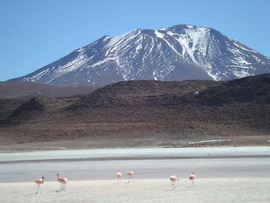 San Pedro de Atacama: 3 D. Tour Uyuni and Back to San Pedro - Why this three-day route works