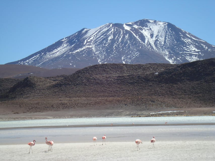 San Pedro de Atacama: 3 D. Tour Uyuni and Back to San Pedro - Who should book this tour