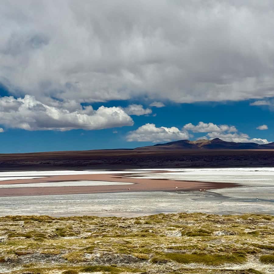 San Pedro de Atacama: 3 D. Tour Uyuni and Back to San Pedro - Should you book the Uyuni tour from San Pedro?