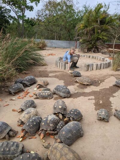 Wildlife Sanctuary and Preservation Park Tour