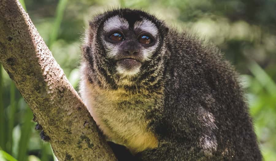Santa Cruz: Wildlife Sanctuary and Preservation Park Tour - Transport, timing, and comfort