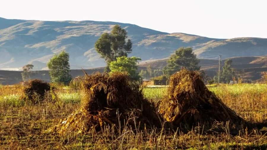 Sucre: Sunrise, the Crater de Maragua and old Cave Paintings - Who should book this tour?
