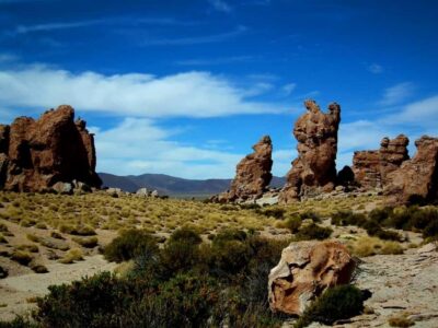 2-day tour to the salt flat and altiplanic lagoons