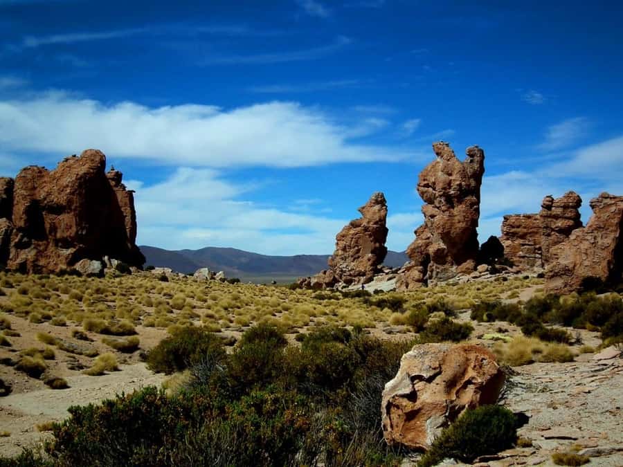 Uyuni: 2-day tour to the salt flat and altiplanic lagoons - Day one: locomotives, salt crafts and the white horizon
