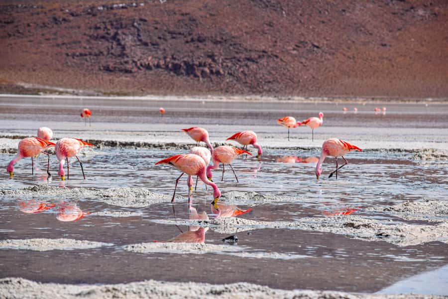Uyuni: 3-Day Salt Flats Tour ending in San Pedro de Atacama - Why this three-day route works so well