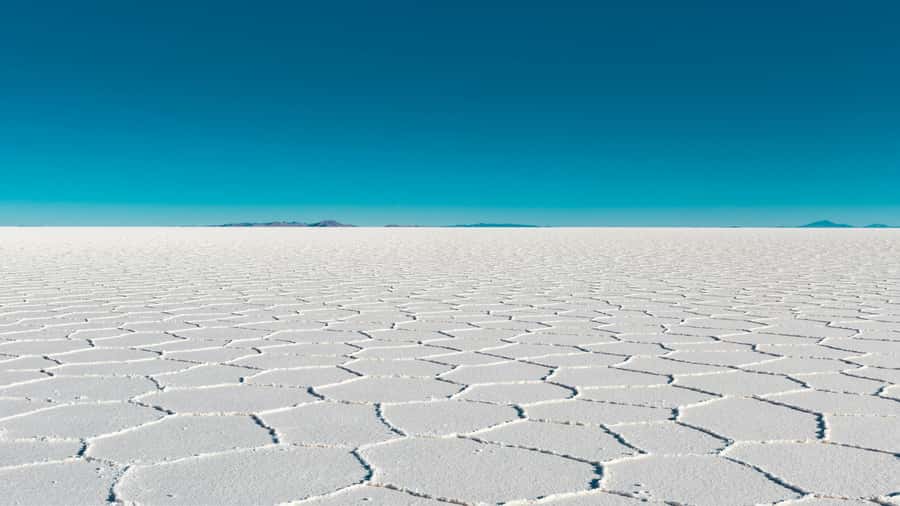 Uyuni: 3-Day Salt Flats Tour ending in San Pedro de Atacama - Day 2: Four lagoons, flamingos, and Red Lagoon